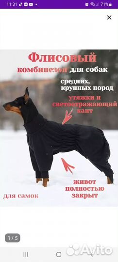 Зимний комбинезон новый(для самки)