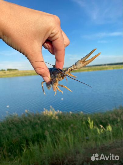 База отдыха/Рыбацкое озеро в Челябинской.обл