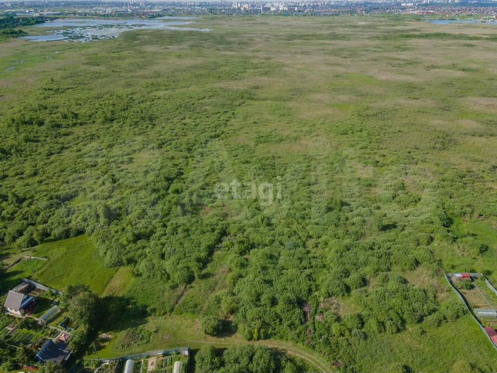 Участок 20 сот. (СНТ, ДНП)