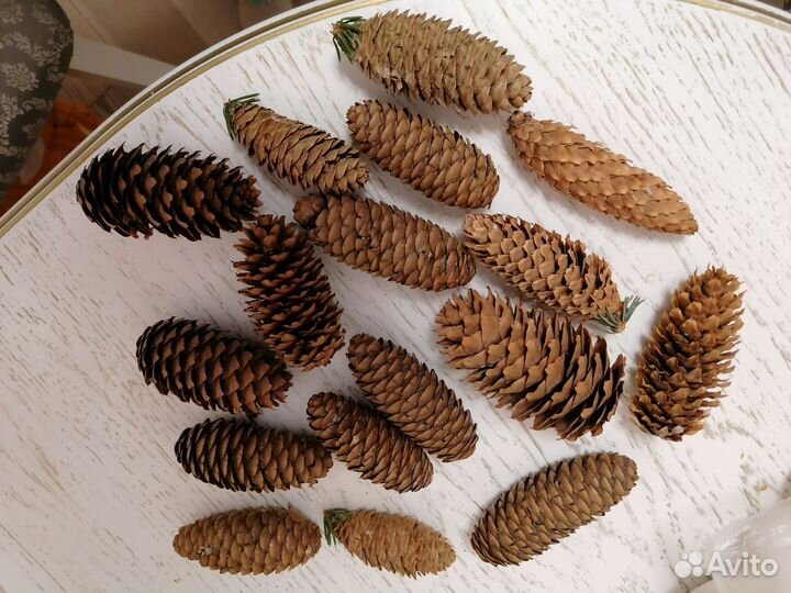 Шишки еловые