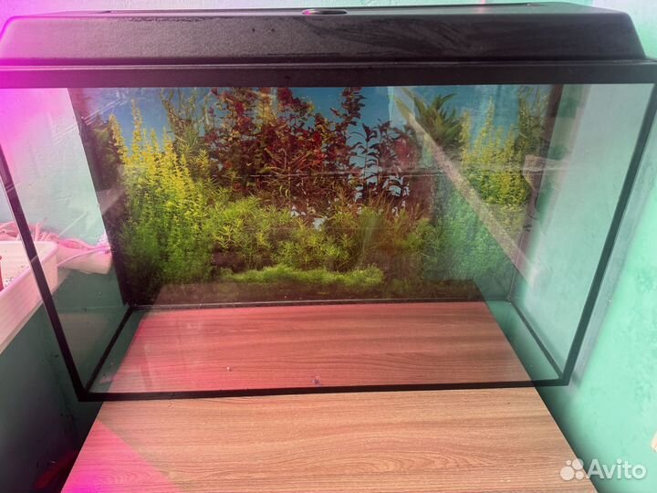 Аквариум