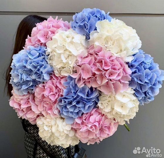 Гортензия букет