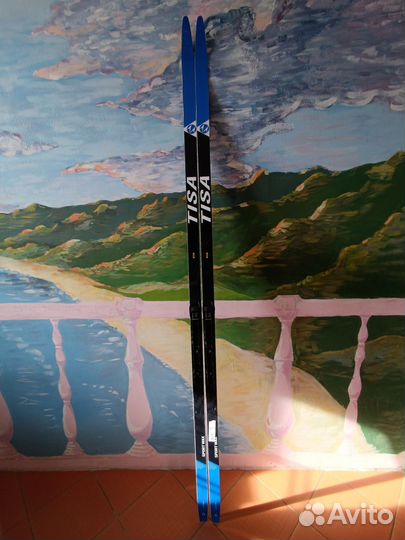 Лыжи Tisa sport wax 207, боты Spine concept skate