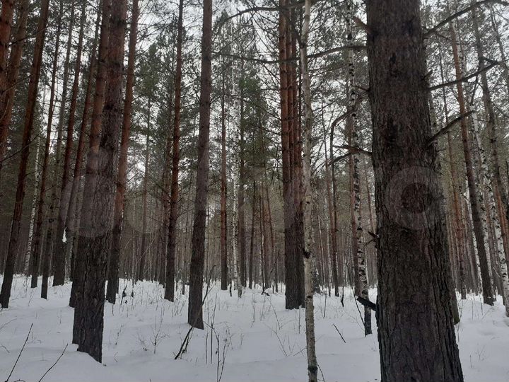 Участок 10,5 сот. (ИЖС)