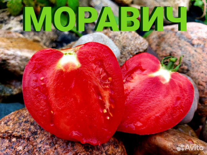 Семена томат Помидор