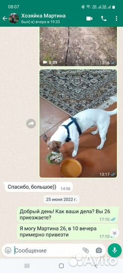 Уход за питомцем, передержка собак, кошек