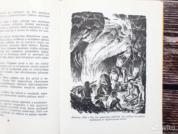 Д Эрвильи Э. Приключения доисторического мальчика