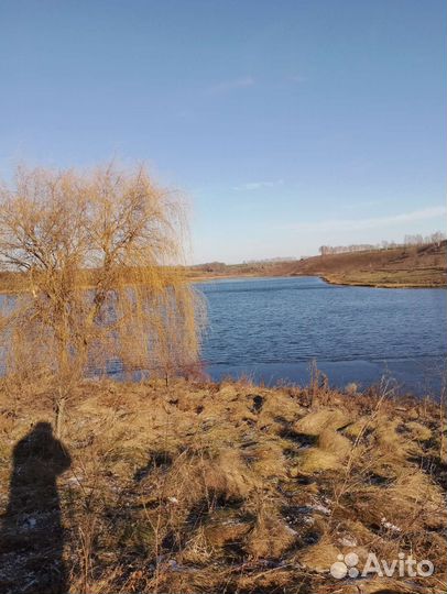 Платная летняя рыбалка