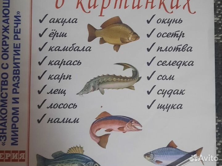 Методическое пособие для дошкольников