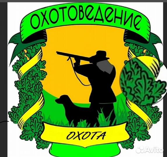 Ищу партнеров для создания охотничьего хозяйства