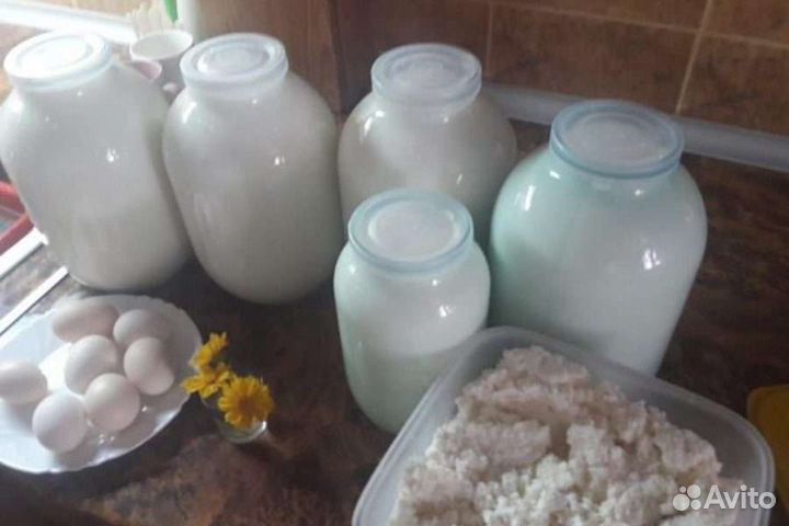 Молоко сметана масло творог деревенский