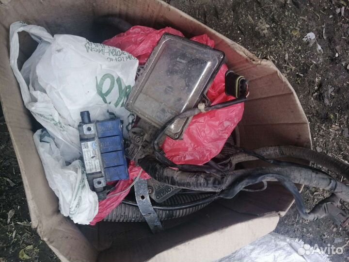 Гбо пропан 4 поколение (ловато)