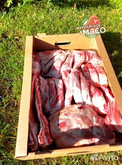 Мясо баранина