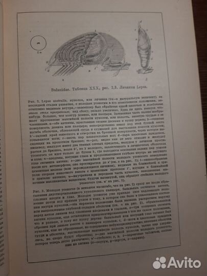 Книги Ч.Дарвин Сочинения 1 2 3 том 1935