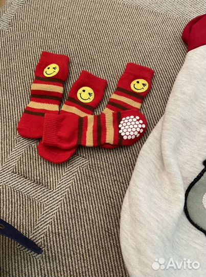 Одежда для лысой собаки