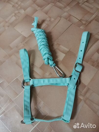 Амуниция для лошади и пони