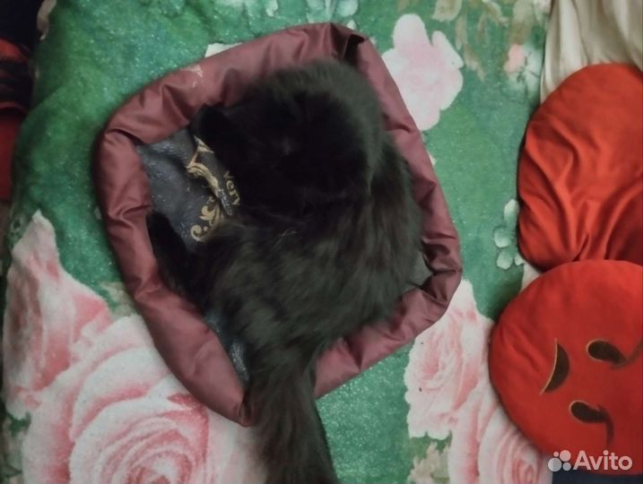 Лежанка для кошек