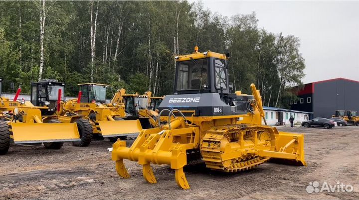 Beezone D16-5, 2024