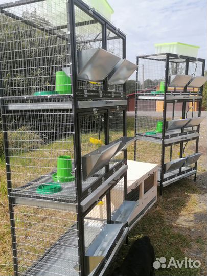 Клетка для бройлеров