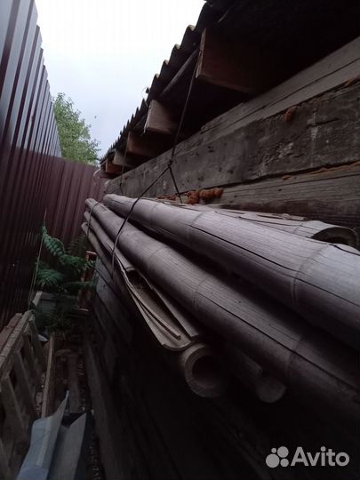 Ствол бамбука