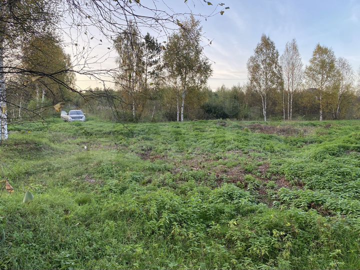 Участок 14 сот. (СНТ, ДНП)