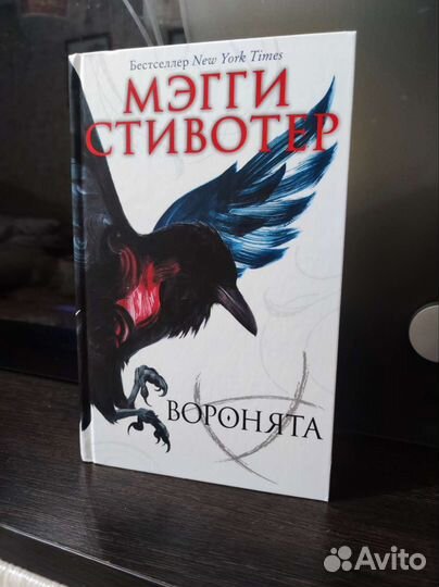 Книга Мэгги Стивотер 