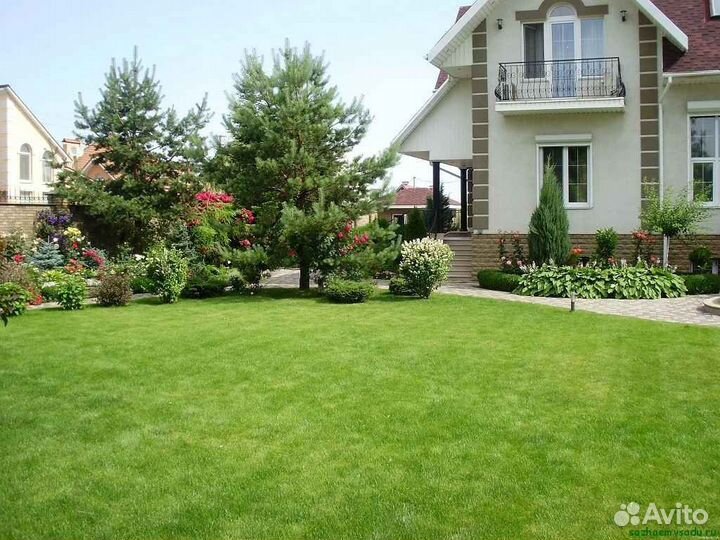 Рулонный газон, укладка, продажа