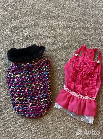 Одежда для собак