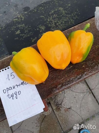 Семена коллекционых сортов перца