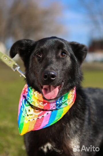 Милая Берта