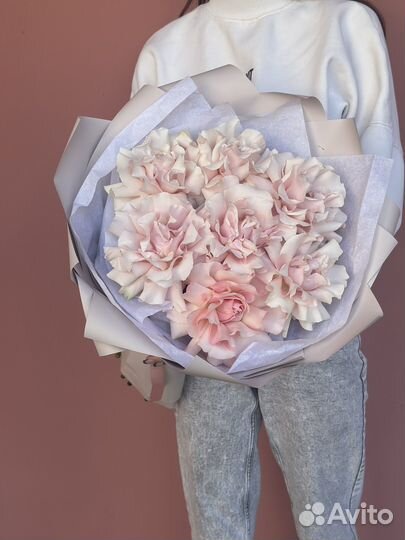 Французская роза, доставка цветов