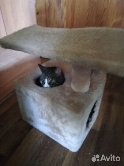 Домик для кошки