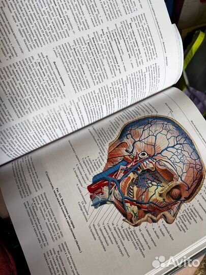 Атлас по анатомии синельников 3 том