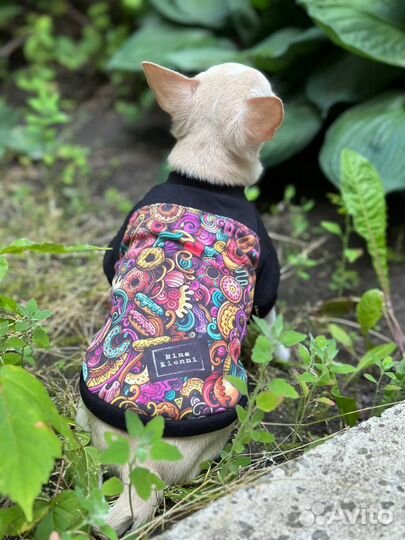 Футболка для собак