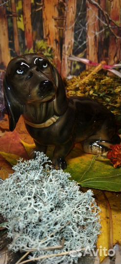 Такса фарфоровая статуэтка