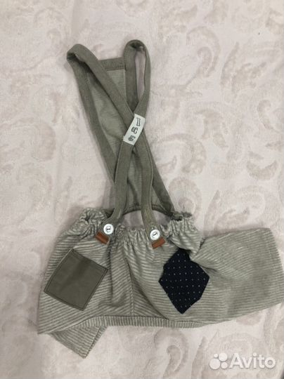 Одежда для йорка