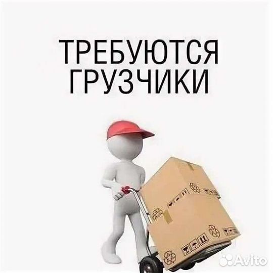 Грузчики