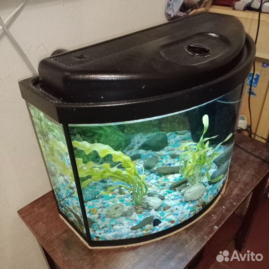 Аквариум 80л