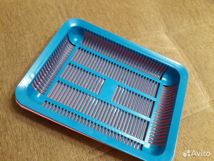 Лоток для котят