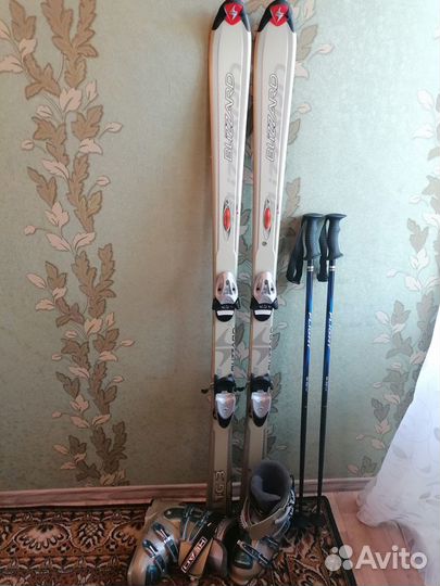 Горные лыжи