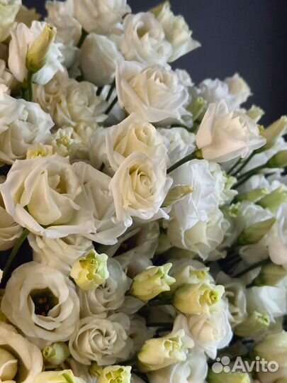 Эустома Цветы с доставкой