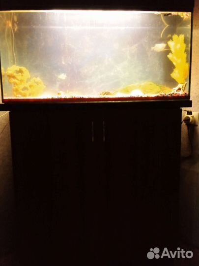 Аквариум с тумбой