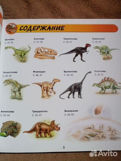 Детские книги Динозавры и Подводный мир