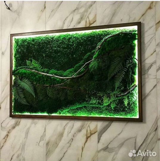 Фитокартина картина панно из мха