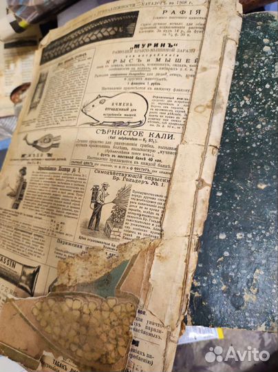 Главный каталог семян и растений на 1908 год