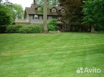 Рулонный газон