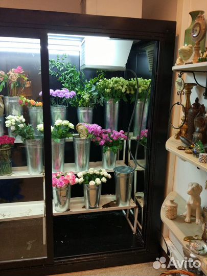 Холодильная камера для хранения и выставки цветов