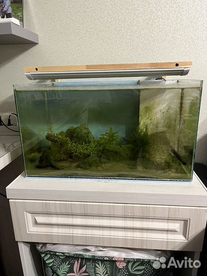 Аквариум