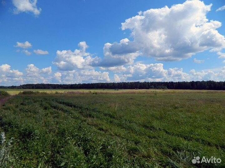 Животноводческий комплекс