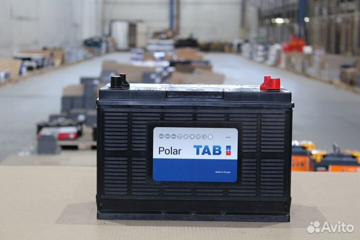 Таб Polar 31S-1000